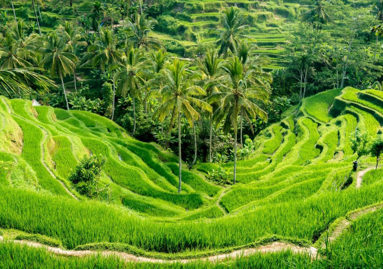 Capung Asri Eco Luxury Resort With Private Pool Villas Bedahulu Bagian luar foto