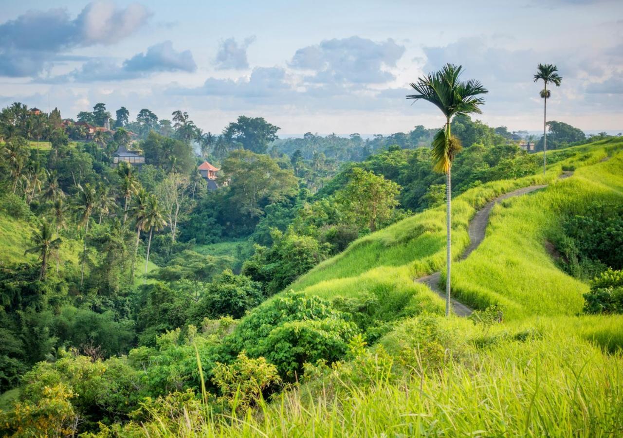 Capung Asri Eco Luxury Resort With Private Pool Villas Bedahulu Bagian luar foto